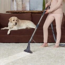 THOMAS DryBox Amfibia Pet 17 THOMAS DryBox Amfibia Pet -ROYAL CANIN Verkaufsgeschäft 9953282c61e03abd8b9e8af05edae29417570062 1406734 de DE 1c8fb73e21f9aae62063930fedd2d58afb94e8aanSOWPf