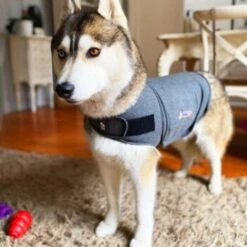 Thundershirt Beruhigungsweste Grau XS -ROYAL CANIN Verkaufsgeschäft 9a1e301e33f1361e91f7c9989e135033c3825116 854880001141.PT09