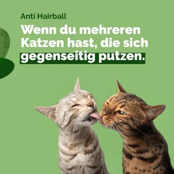 Almo Nature Almo Holistic Anti-Hairball 30x70g Mit Huhn 5 Almo Nature Almo Holistic Anti-Hairball 30x70g Mit Huhn – Bild 3