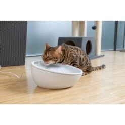 AniOne Keramik-Trinkbrunnen Waterfall Weiß Ohne Ersatzfilter 12 AniOne Keramik-Trinkbrunnen Waterfall Weiß Ohne Ersatzfilter -ROYAL CANIN Verkaufsgeschäft 9ab78e65ebaf72b76c537cd735c5a7cd6cd4d027 a897eca6393f48ff54c98954a2b189a96196cfbd