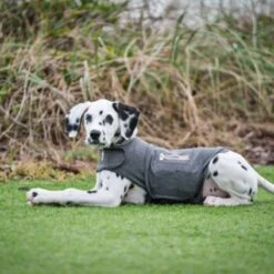 Thundershirt Beruhigungsweste Grau XS -ROYAL CANIN Verkaufsgeschäft 9b6b99fb9c0e02a64cc609b7ca852c71d17d0d84 1102942 2