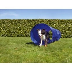 AniOne Agility Tunnel -ROYAL CANIN Verkaufsgeschäft 9b82da119a923abe80bb6d63ef97328c5e1e7dcf 2dc906b772e837b2770e0f896237c640992fd5d2