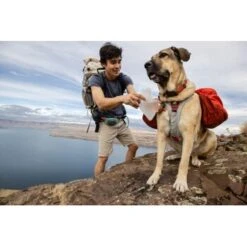 Ruffwear Swamp Cooler Core™ Geschirrzubehör S -ROYAL CANIN Verkaufsgeschäft 9ba5d07ebcdd1ff9188c1e1be27524a445353621 1651553 de DE 30f2b9bf5f20bc24b06fe4798a2a08e0e59cfe218Xq70v