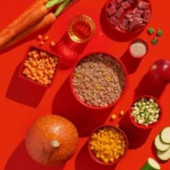 Fred & Felia FELIA 10x200g Rind -ROYAL CANIN Verkaufsgeschäft 9bfab87cb1314cc53a48da28806fa9c136a8ba0e 1422056 de DE 6858c96f073c6b50e349601c5ea7cd0c62939c48mkJLN1