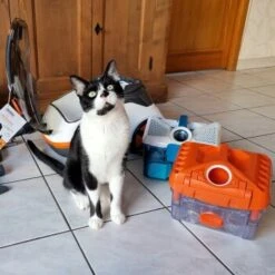 THOMAS Staubsauger 19 THOMAS Staubsauger -ROYAL CANIN Verkaufsgeschäft 9c1c711bdc998f487ed8c24bc96dc66adbb9a8a0 1406733 de DE c0788b12d8ca7e012c5c5d1a7cf9568fa3623544LvViH7