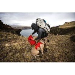 Ruffwear Palisades™ Hunderucksack S -ROYAL CANIN Verkaufsgeschäft 9c538d7ee351a6351261523d7827ff562558bc44 1444346 de DE 7e4484d919f848038e59e304ba140f6dbd9741abv6PWla