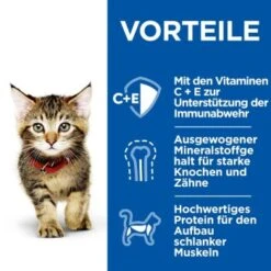 Hill's Science Plan Healthy Cuisine Kitten Ragout Multipack 24x80 G -ROYAL CANIN Verkaufsgeschäft 9cc7542d56e101119b2981756afe9af54d6b4d74 1386411 de DE hills 5