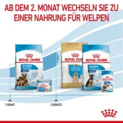 ROYAL CANIN MAXI Starter 15kg -ROYAL CANIN Verkaufsgeschäft 9e0a9c40eb1f66857fbe20359fe8a5065e97d29a 1044296 de DE royalcaninwb5