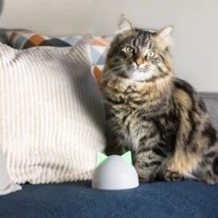 SureFlap Sure Petcare Hub 17 SureFlap Sure Petcare Hub -ROYAL CANIN Verkaufsgeschäft 9f5bfec8de043f4a92cd1437f562ae1683a10820 46ac2e41b6bc8ea03ea15881bcebd38d8c7bf830