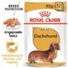 ROYAL CANIN Dachshund Adult Mousse 12x85g 1 ROYAL CANIN Dachshund Adult Mousse 12x85g -ROYAL CANIN Verkaufsgeschäft 9f963a62a5df48d1b5d5f5042644d7a7f0bd2b92 4e6efe2d7d45064f1b4df3768196abcfd98501ce