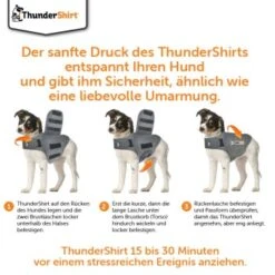 Thundershirt Beruhigungsweste Grau XS -ROYAL CANIN Verkaufsgeschäft 9ff088bccc5f7d02926fc2c1845a1030d5e07bc3 1102942 5