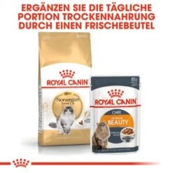 ROYAL CANIN Norwegian Forest Adult 10 Kg -ROYAL CANIN Verkaufsgeschäft a02b9db4fbab44608d8f96a75fee25646abd3ee2 af41e3357e03e3d428ca315b755dc856d14ee9c9