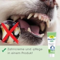 DentaVet Gel 35g -ROYAL CANIN Verkaufsgeschäft a0d4d3bd9437af6bafea1b3b7a3c5a28814220c7 1249039 de DE 4ce29d2ba67554731965330067a7d46dd701a488pV84j2