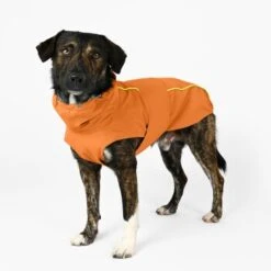 THE DOG IDEA Regenmantel Duke Orange XXXS -ROYAL CANIN Verkaufsgeschäft a1af009970fbe0d49b23b55aae3478442e9eb5e6 1473000 de DE e975935bd14ae10e3cbf4709cc9d05a6879844e2TUSiIw