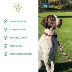 Kipita Polo Hundeleine Rainbow -ROYAL CANIN Verkaufsgeschäft a2c75ce377ad0bdc620fae8249de4744cf0eee28 1410921 de DE 6f891659a2f595d1b30e918fefe4ff5811ec8a16AyAJ3g