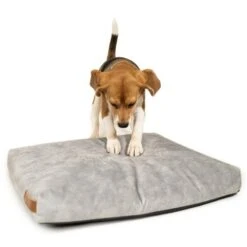 Rexproduct SoftPet Matratze Grau S -ROYAL CANIN Verkaufsgeschäft a2deb9e77fd4a8221c4a6a122e4e0ea0df2bc109 1411242 de DE 92f140a2cea3602bb4c824f1ca0bde2507939e71tWwiws