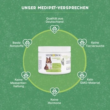 MediDog Ulmenrinde Paste 5 MediDog Ulmenrinde Paste – Bild 3