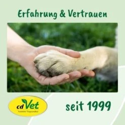 DentaVet Gel 25ml -ROYAL CANIN Verkaufsgeschäft a3f0f225424e36ead3f58163a43f1ebde29b0acd 1667843 de DE f215127866d604991b4efc218004018ddf447095y5Ccte