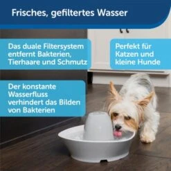 PetSafe Trinkbrunnen Streamside 11 PetSafe Trinkbrunnen Streamside -ROYAL CANIN Verkaufsgeschäft a4863bb01c9defc206f3abadb7407b11767619bd 1423698 de DE d7c376710365041814bb26a7ca9d55a6a9011fd8Nm0GoI