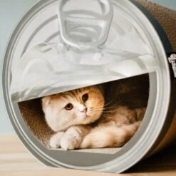 District 70 CAN Cardboard -ROYAL CANIN Verkaufsgeschäft a4cd0fa7850dfd13b737775762ce59afa0fa6bcc dc81845d134bfb19e2eca4e5bc9344d6856acd6a