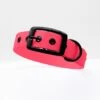 THE DOG IDEA Biothane Halsband Pink Schwarz S 2 THE DOG IDEA Biothane Halsband Pink Schwarz S -ROYAL CANIN Verkaufsgeschäft a5e3aeed3d4ff2fe6173d9b0b1dd125d0e457d98 1662757 de DE a796767e6563e6c7c5809a8c5fedc2437f8d96289dtpyk