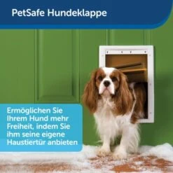 PetSafe Haustierklappe Für Extremes Wetter S -ROYAL CANIN Verkaufsgeschäft a6418c2f84c3e14467d7c91992b367da97c80c68 1279434 de DE fb7da59b7a5bf84ad58e13f5dc3d9cc04f4fa864u7H7aK