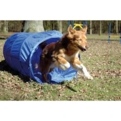 Dobar Agility Tunnel, 60 X 500 Cm 8 Dobar Agility Tunnel, 60 X 500 Cm -ROYAL CANIN Verkaufsgeschäft a70db425a55e65c0dd33cb4658677f3cead28e72 3dc1d9596c73e287c8ea8bc83f8445abe7adc92a