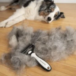 KaraLuna Unterfellbürste -ROYAL CANIN Verkaufsgeschäft a7f89992854b7f274ec4aefce65a9a0c3bed6611 1407475 de DE bdacd808ffd25106dc0030189e088a48f660e6387lmoXE