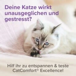 Beaphar CatComfort Excellence Nachfüll-Flakon Für Verdampfer 19 Beaphar CatComfort Excellence Nachfüll-Flakon Für Verdampfer -ROYAL CANIN Verkaufsgeschäft a8613b584df98a596d32ec535fff51094d4ea86c 1416647 1 3