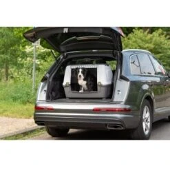 AniOne Kofferraumbox M -ROYAL CANIN Verkaufsgeschäft a991e5ff952a4d0b5eb969d4e02a62969db93a45 4d8710e1e9b6b02baac5c0abf4ef7f929323e520