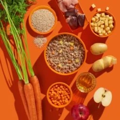 Fred & Felia FRED 10x200g Pute Mit Kartoffeln -ROYAL CANIN Verkaufsgeschäft a9bf6aa6c03c9e945fcaf6cfc7c34e5223a9b5f6 1422065 de DE b38968899d5aadb6bb2af01d15d7f083155a7458oR6wZO