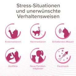 Beaphar CatComfort Excellence Nachfüll-Flakon Für Verdampfer 18 Beaphar CatComfort Excellence Nachfüll-Flakon Für Verdampfer -ROYAL CANIN Verkaufsgeschäft aa6740035f99902181a1da29aff4eee13880e36f 1416647 1 2