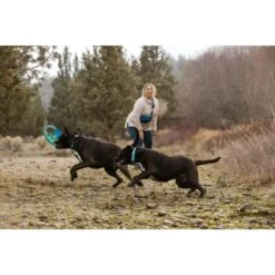 Ruffwear Pacific Ring™ Spielzeug Blau/ Türkis -ROYAL CANIN Verkaufsgeschäft aaae4ecd59db92ffe25787fd56b7315d42974ecb 1444351 de DE f747ae339bc2beff156a317c539c1237b854177bd9ZZMN