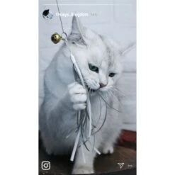 Kater Kasimir Premium Katzenangel Set Aus Buchenholz Mit 4 Handgemachten Anhängern -ROYAL CANIN Verkaufsgeschäft aaff0e9889f09f48c0cf35681edb62768ad623ee 1422145 de DE b29a5f7f2530ce6388e16e2600369d70b2ec0350dUIf7E