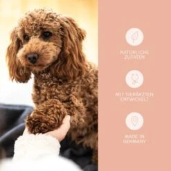 Mammaly Shiny Hair 110g -ROYAL CANIN Verkaufsgeschäft ab140d426c9b296de83b5883ff261fc62a7d77c0 1472887 6