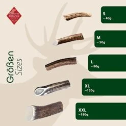 ChronoBalance Geweih Halbiert (M) 2er Paket -ROYAL CANIN Verkaufsgeschäft ab294704e1583a43215e4d792504f62d739be959 1418686 de DE d838093986c993fa104c920bfcc78fed085d09a7rPf1Zy