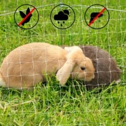 Lionto Katzennetz Inkl. Befestigung 8 Lionto Katzennetz Inkl. Befestigung -ROYAL CANIN Verkaufsgeschäft ad1b651d8bcc461ab7a5d32a4c77b44e521cf768 1665913 de DE 7c500006d9abf3223e26fa8841d70bed2db024adIv4nbt