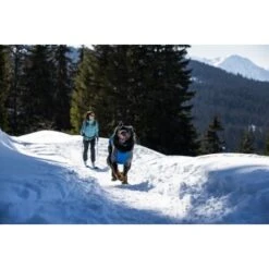 Ruffwear Powder Hound™ Hundejacke Blau M -ROYAL CANIN Verkaufsgeschäft ad48c7824c4fa56ab99bf99fe279a07bb74f6278 1639789 de DE 5260aa3c176a0e9de27498c6464d58bee4c79182MEN6wd