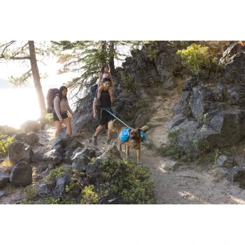 Ruffwear Approach™ Hunderucksack Blau M 13 Ruffwear Approach™ Hunderucksack Blau M – Bild 11