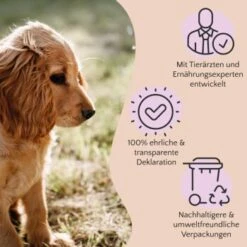 FAVLY Petfood Nature Cookies Hirsch 360 G 13 FAVLY Petfood Nature Cookies Hirsch 360 G -ROYAL CANIN Verkaufsgeschäft ae0e416bd82871a8a65b5b89ea5ccac268b91726 1474001 de DE 80624b888460a5c29f043365a19496292e44fd84erjjco