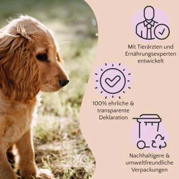 FAVLY Petfood Nature Cookies Hirsch 360 G 8 FAVLY Petfood Nature Cookies Hirsch 360 G – Bild 6