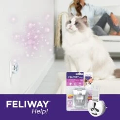 Feliway Help! 7 Tage Start-Set Zur Vorbeugung Von Stress -ROYAL CANIN Verkaufsgeschäft af221c57f6ccc9e6f3f372e52503a2d7b9cf22d4 1380136 5
