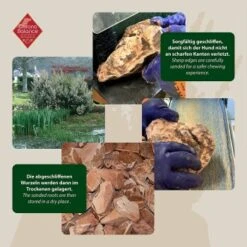 ChronoBalance Kauwurzel Baumheide (M) 2er Paket -ROYAL CANIN Verkaufsgeschäft b06b54c93bd6e51de6c4ae60bb85ff995c53b4df 1418714 de DE ba8b2a31068658c9820512bd79f25900dbe0cd09EnWSEP