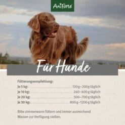 Aniforte RanchHorse Pferd Mit Süßkartoffeln 6 X 400 G 13 Aniforte RanchHorse Pferd Mit Süßkartoffeln 6 X 400 G -ROYAL CANIN Verkaufsgeschäft b12cc30a5f36b31df21ff4d3ee7aba79a7a14c9b 1422206 de DE ecf8c646fa9f7a73ce2de360e52f7434941d6424KGxv2b