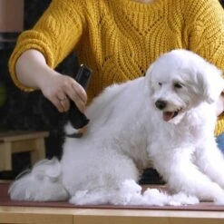 Moser Schermaschine Arco Pro -ROYAL CANIN Verkaufsgeschäft b131ca6d4dc18dbcff5826048d13c7a9865a2f22 9527aaf3ea2ef7fd3da12225a4b042dbe7fd8159