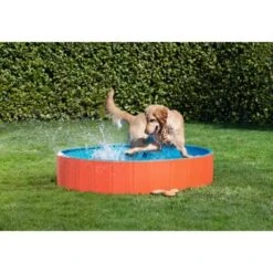 FIT+FUN Pool S -ROYAL CANIN Verkaufsgeschäft b1cb34c1bb87f494acad835c3466dcf4312a1144 49528db90b739bc978efe51f63d1f6253667db9a