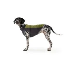 Ruffwear Climate Changer™ Fleece-Pullover Für Hunde Rot S -ROYAL CANIN Verkaufsgeschäft b28669818d8fcb81e0661ed639732808849f280a 1369661 de DE 64aaf340211e6364e47cd57e7a205b9b6074a78fHTZZhE