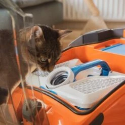 THOMAS AQUA+ Pet & Family -ROYAL CANIN Verkaufsgeschäft b29d283b30c65b5964c108db9c904b2f1515a2bd 1408595 de DE b994e116c03c39866ce7571239028dd963780376lYoXei