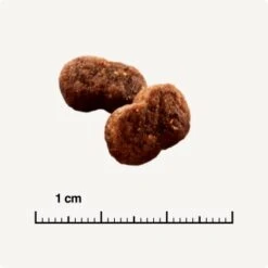 SELECT GOLD Hair+Skin Senior Geflügel & Lachs 2,5 Kg 12 SELECT GOLD Hair+Skin Senior Geflügel & Lachs 2,5 Kg -ROYAL CANIN Verkaufsgeschäft b42128ae83c41454d6be7d6047b7c0aaed5f051a 1001086011 de DE 6