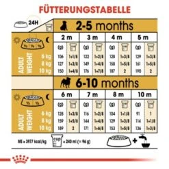 ROYAL CANIN Mops Puppy 1,5 Kg -ROYAL CANIN Verkaufsgeschäft b4fde8fc0325fcebebf1f7ba77ece4a760892ed2 1142a47ae7899b973d3881a321687bd221657b17